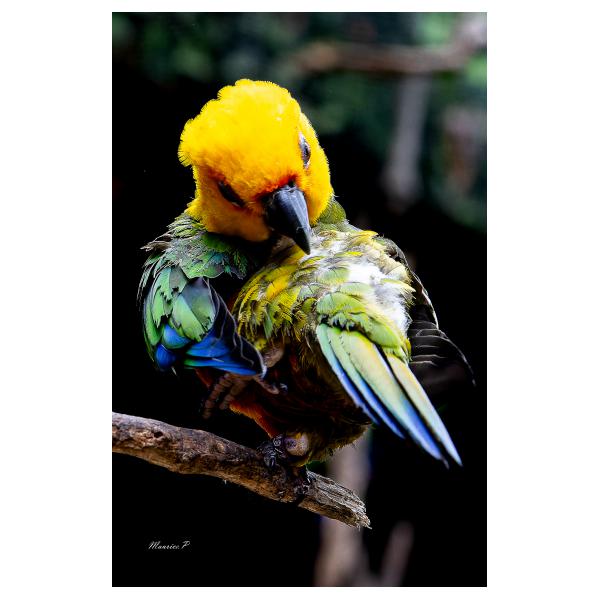 PHOTO84, CLUB, 84 , LUBERON